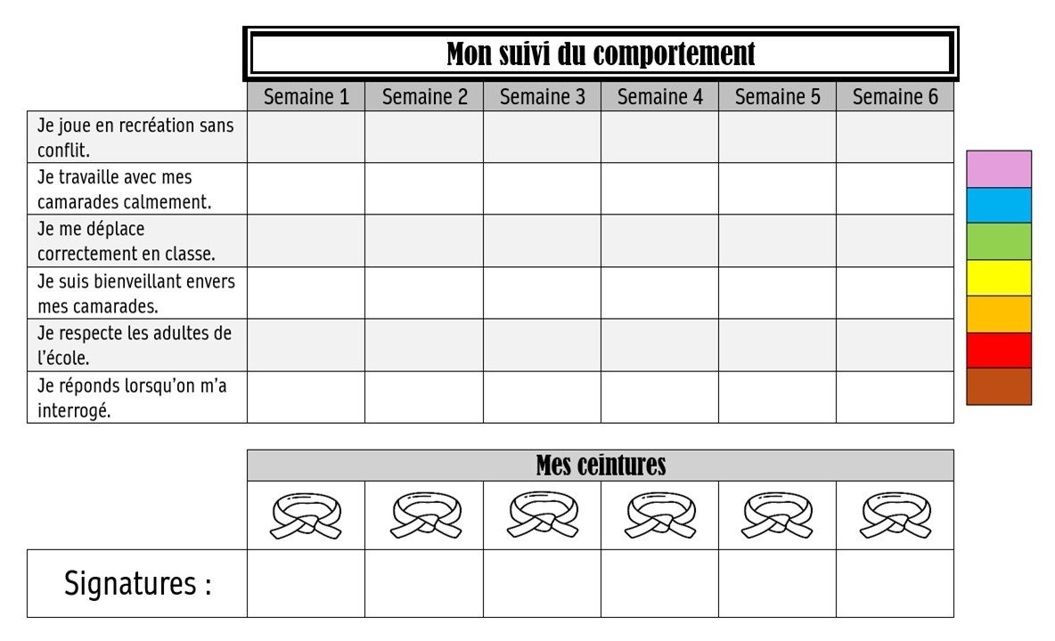 Les ceintures de comportement